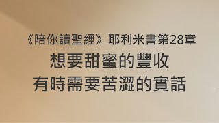 想要甜蜜的豐收，有時需要苦澀的實話《耶利米書28》｜陪你讀聖經2