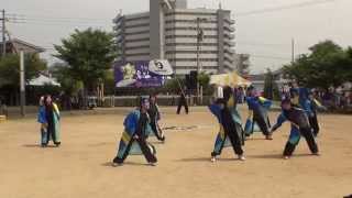 ムーンスター踊り隊さん　2014　玉名温泉夢まつり