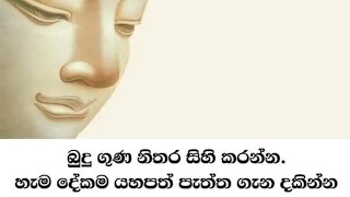 බුදුගුණ නිතර සිහි කරන්න  | dhammA