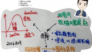 DSE BIO 2016A27酶enzyme 性質及溫習要點