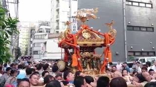 平成28年 氷川神社例大祭！ 大神輿渡御巡行③/5