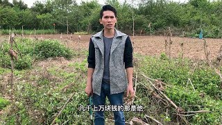 老谭终于得知相亲对象为何失联，看老谭咋做