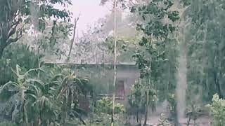 Stormy day with heavy rain in the village || গ্রামের ঝড় বৃষ্টিস্নাত দিন