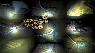 EPS:167 | SA TAGAL NA HINDI NAPAMANAAN, NAIPON ANG ISDA 50 PIRASONG BANAGAN ANG NAHULI😱