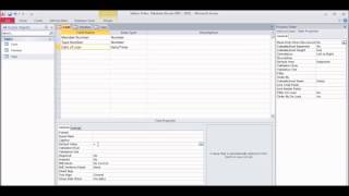 adding input masks and default values and validation tools