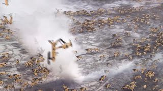 Planet Earth: A migrating herd of SpotMinis face challenges