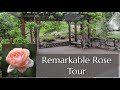 Rose Tour: Austin & Canadian Heritage Roses