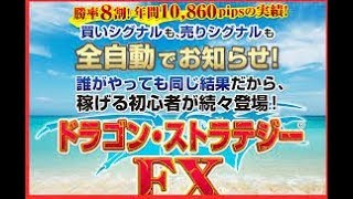 【いい質問！】ドラゴン・ストラテジーFXはバイナリーオプションには使えるのか！？