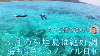 【石垣島】3月の石垣島、空も海も水中世界も絶好調！3月13日14日のシュノーケリングツアー動画