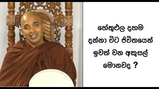 Ven.Ududumbara Kashyapa Thero -Nivan Maga- හේතුඵල දහම දන්නා විට ජිවිතයෙන් ඉවත් වන අකුසල්