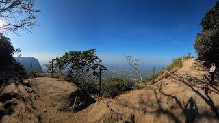 oneday trip 😳 ഇത്രക്കും ഉണ്ടോ....  🦌🐒🦚🦣🐅 palakkadu nelliyampathy......😳