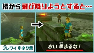 【ブレワイ】橋の上から飛び降りようとすると…驚きの隠しイベントが！？ ティアキンの前作に隠れた細かすぎる小ネタ集【ゼルダの伝説 ブレス オブ ザ ワイルド】@レウンGameTV