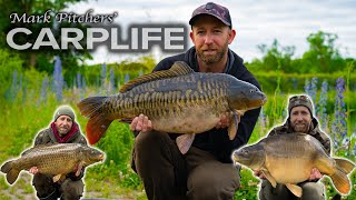 Carp Life - We caught an UNKNOWN MONSTER!