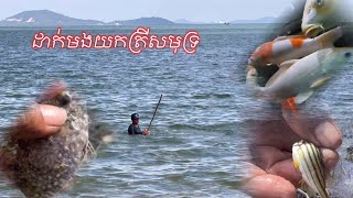 ដាក់មងយកត្រីសមុទ្រ Put a net to catch sea fish