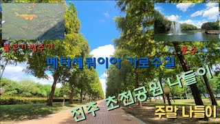 #진주초전공원#진주나들이#진주가볼만한곳#메타세쿼이아#Jinju #SouthKoreaJinju#Metasequoia Jinju city of South Korea  진주초전공원