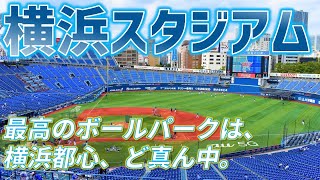 【ハマスタ】野球場へ行こう 横浜スタジアム編【球場飯】