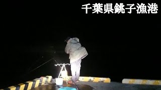 【マジで千葉】3/9銚子漁港で夜釣りです。大物ヒット‼️ 後編 (車横付け）