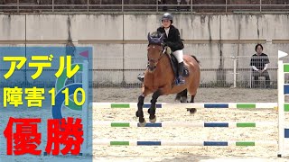 障害馬術 アデル 2024Jumping Horse Show T in   Aichi　障害110　優勝