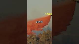 Deep Dive: 5 Mind Blowing Water Bomber Facts #facts #news #science #waterbomber #viral #plane #water