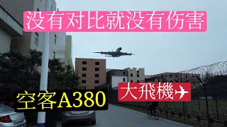 没有对比就没有伤害。广州白云国际机场看大飞机空客A380低空降落,白云区人和镇明星村