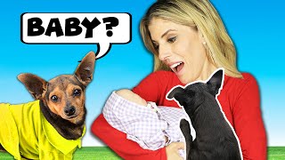 Dogs Meet Baby for the First Time - Emotional