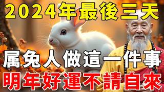 屬兔人請注意！2024年最後三天，生肖兔做好這一件事情，明年好運不請自來，一路旺到年底！【禪語明心】#生肖 #運勢 #風水 #財運  #生肖運勢 #生肖運程  #預言