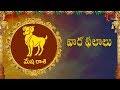 Rasi Phalalu | Mesha Rasi | June 4th to June 10th 2017 | Weekly Horoscope 2017 | #Predictions