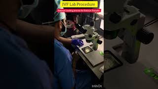 Embryo loading process for Embryo Transfer in IVF #ivf #embryology #embryologist #ivfjourney #shorts