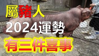 屬豬的2024年有三喜，屬豬2024年有哪三件喜事，2024年對於生肖豬的朋友來說，是無比值得期待的一年，屬豬人的幸福感，那麼屬豬人2024年，會有哪三件喜事預測2024生肖運勢，十二生肖（生肖）