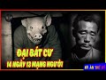 Bí Mật Tội Ác Tại Nhà Hàng Đại Bát Cư - Bi Kịch Ở Thôn Nam Đại Chương | Kỳ Án #610