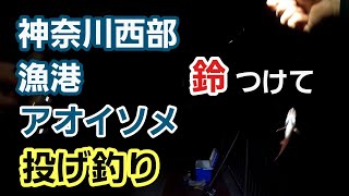 【神奈川県西部の漁港】鈴をつけると楽しい　アオイソメ投げ釣り、ぶっこみ夜釣り 2023年11月中旬