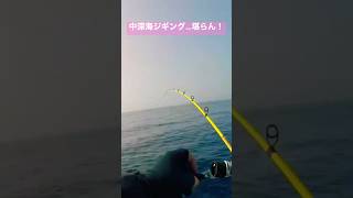 中深海ジギングのアタリが堪りません！ #fishing #fish