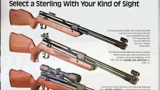 Quick Look at a Sterling HR81 air rifle