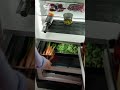 einräumen im kühlschrank war noch nie so entspannend bora cool kühlschrank asmr