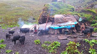 Best Life in the Nepali Mountain Village During the Rainy Time | How People Live in Nepal with Rain