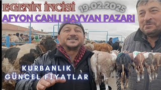 AFYON CANLI HAYVAN PAZARI 19.02.2025 LİVESTOCK BULL COW ANIMAL MARKET #hayvanpazari #büyükbaş