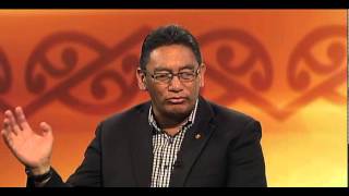 Hone Harawira to persist with Mana Māori Party