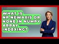 What Is Np.newaxis Or None In NumPy Array Indexing? - Python Code School