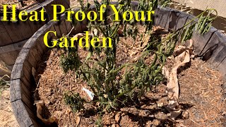 6 Tips for Building a Drought and Heat Proof Vegetable Garden