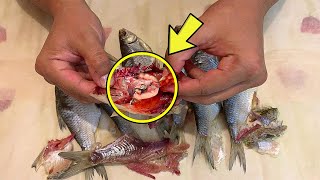 A Mother Gets The Shock Of Her Life When She Finds This While Cleaning A Fish!