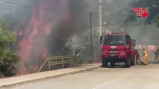 Denizciler’de çalılık ve ormanlık yangını korkuttu!