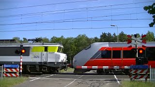 Diverse treinen bij de Zandsteenweg in Oldenzaal