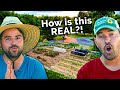 Professional Gardeners React to Subscriber Gardens!