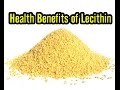 10 Health Benefits of Lecithin