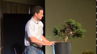 2013 AABC convention in Canberra - Ryan Neil Juniper Demonstration