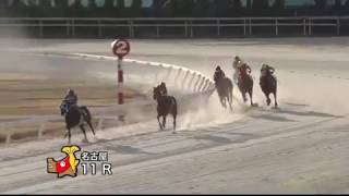 【名古屋競馬】ガーネットオープン2019　ナインオクロック　名古屋での無傷の13連勝なるか