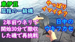 【東伊豆】東伊豆屈指の一級磯で苦手なウキフカセに再挑戦【2020年2月】