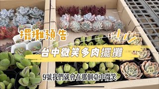 台中微笑多肉雙十國慶擺攤MC嚴選多肉來了 【 MC多肉園 】MC Succulent plant Vlog