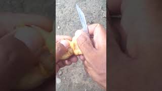 How To Cut Red Plum🍑fruit .#fruit #food #trendingshorts #shorts #short