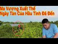 Ma Vương Xuất Thế , Ngày Tàn Của Hầu Tinh Đã Đến | Phú Quí Vlogs